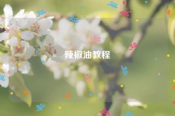 辣椒油教程