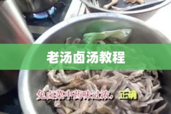 老汤卤汤教程