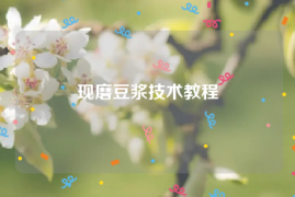 现磨豆浆技术教程